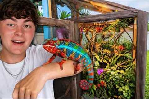 BUYING Reptiles at this INSANE REPTILE EXPO!!