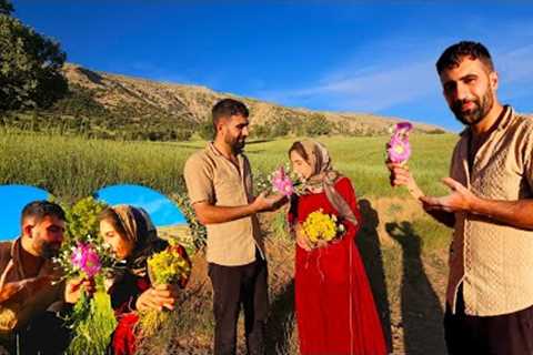  ❤️🌿 Love Blossoms in the Mountains | Arash Takes the Next Step