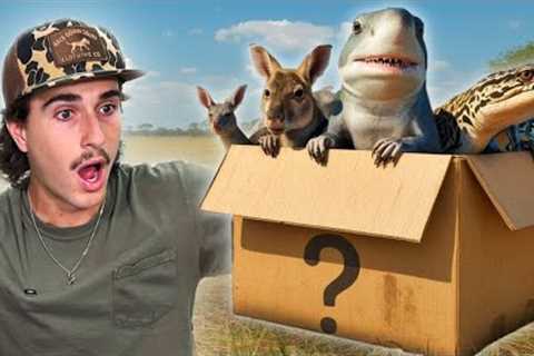 Buying The Creepiest Live Animal Box Off The Web…