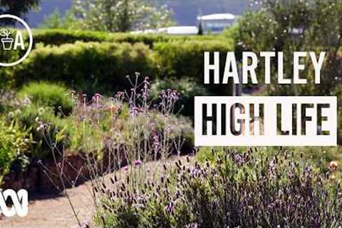 Hartley High Life | Garden Design | Gardening Australia