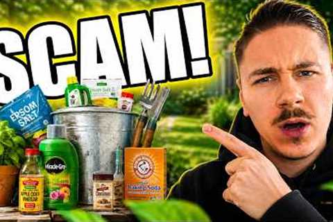 I Tried 5 Popular Garden Myths – Only 1 Actually Worked