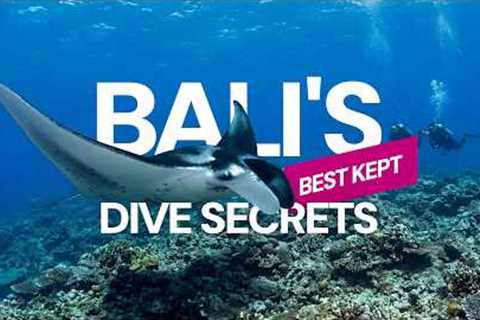 Bali Scuba Diving Guide: Best Dive Sites, Season &amp; Travel Tips