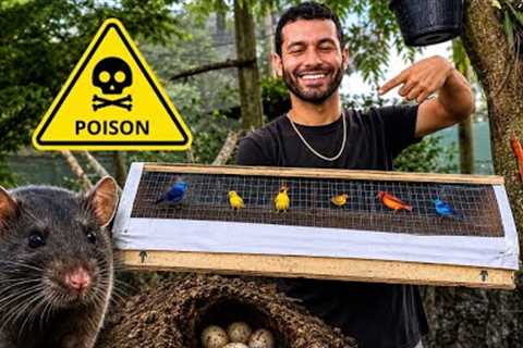 I Found PREDATORS Inside My Brand NEW AVIARY!