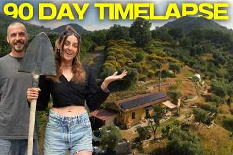 We Built ALL OF THIS In 90 Days | Abandoned Land Start To Finish Timelapse (Year 2 OFF-GRID)