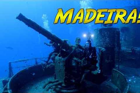 Madeira Dive Expedition! | BLUE WORLD DOCUMENTARY