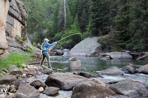 Catching 100 Trout Here is Easy... (Fly Fishing Perfection)