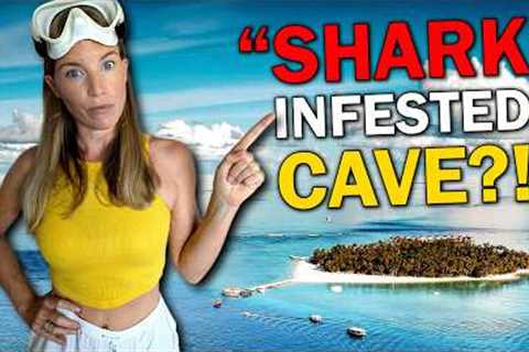 Maldives Diving Incident: 7 Media Myths Debunked! (Dive Pro Perspective)