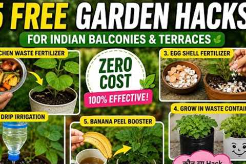 🌱 5 Free Garden Hacks Every Gardener Must Try! | Zero Cost Gardening Tips 💚