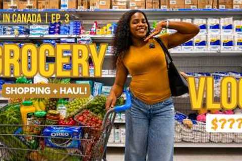 Monthly Grocery Shopping Vlog &amp; Haul 🇨🇦 | How Much I Spend as an International Student in..