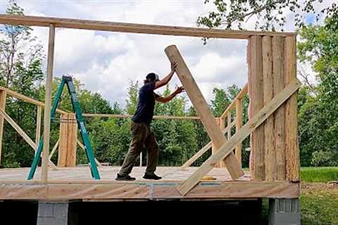 Building A Log Cabin To Raise My Family In | 30 Logs Are On The Cabin