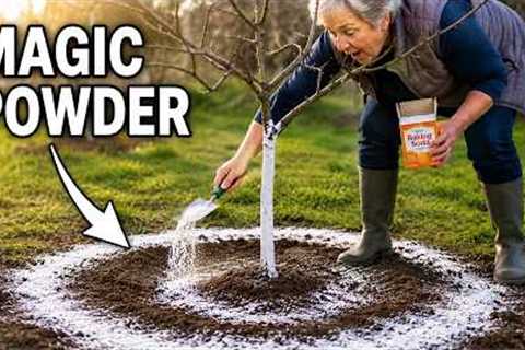 17 Things The Gardening Industry Don't Want You to Know About Baking Soda