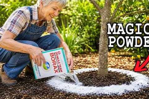 17 Things The Gardening Industry Don't Want You to Know About Borax