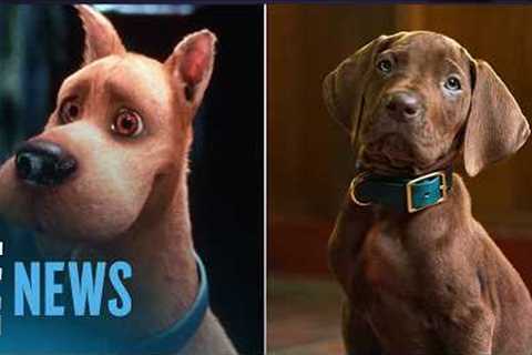 Scooby-Doo Fans Are Divided Over First Look at Live Action Remake | E! News
