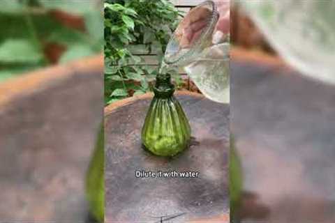 3 Flowering Hack And Tips #gardening