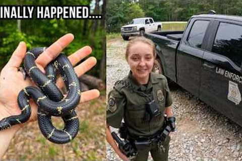 Kingsnakes, Box Turtles, and Herper Game Warden? Epic Late Spring Herping in Georgia!