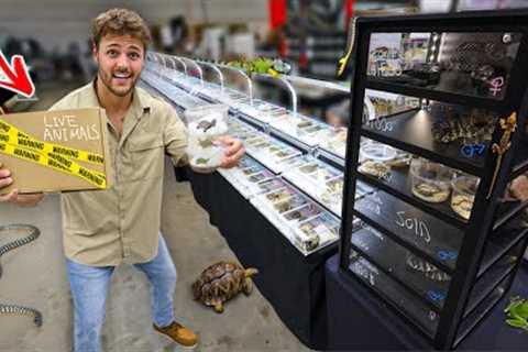 Buying ANIMALS at the LARGEST REPTILE EXPO!!
