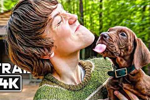 SCOOBY-DOO: Origins Official Teaser Trailer (2027)