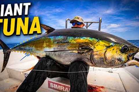 2 Hours of Yellowfin Tuna Fishing!