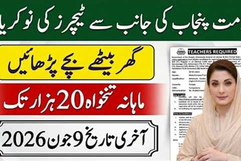 Literacy and Non Formal Basic Education Department Jobs 2026 | Online Apply Complete Guide 