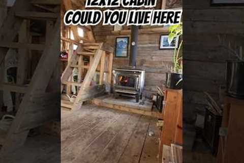 12x12 Cabin! Could You Live Here?