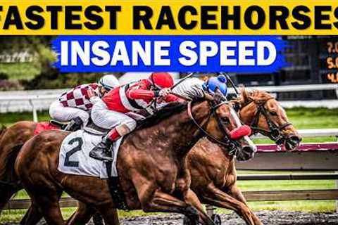 Top 17 Fastest Horses in Racing History