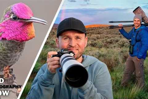 Set Ups For ANY Location + Hummingbirds: Everyday Bird Photography Hacks!