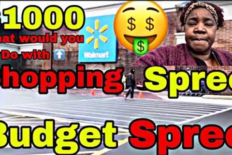 SHOP WITH ME HARRY &amp; CORA ON A SHOPPING SPREE OF BUDGETING HOW MUCH DID WE SPEND?