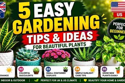     Start Gardening Today! 5 Simple Plant Ideas for Beginners