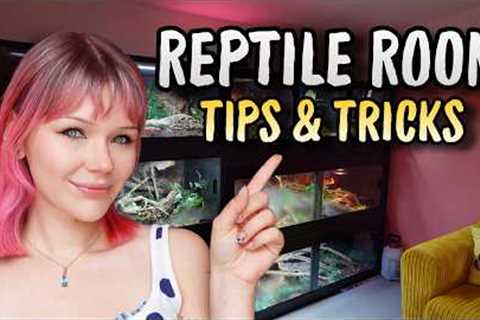 How to Create the PERFECT Reptile Room