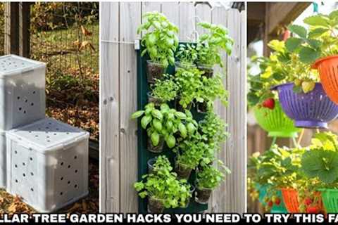 20 Dollar Tree Garden Hacks You Need To Try This Fall! Genius Ideas You'll Love