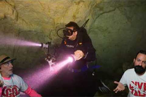 Divers React to divers entering cavern/cave zone to dig for fossils
