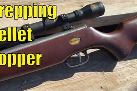 Air Rifles For PREPPERS-- Do they Earn Their Keep?
