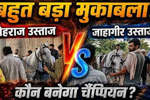 Salman Horse Race Yamunangar 5 Km🥇🏆🐎#horse #horsetrack #horseracing #horseriding #horseshows 