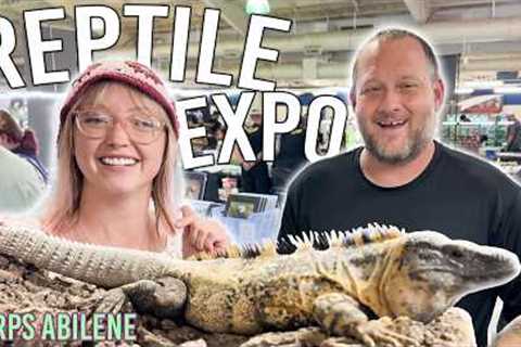 HOW MUCH $$ are the Coolest Reptiles at this REPTILE EXPO!?