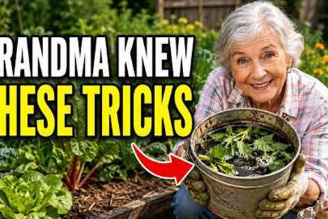 7 Forgotten Garden Tricks They Don't Teach Anymore