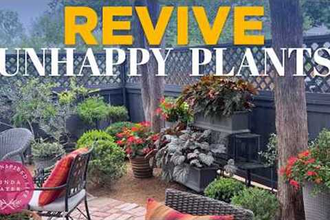 How to Revive Unhappy Plants: Summer Garden Secrets &amp; Makeovers! | Linda Vater🪴