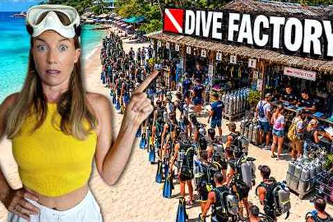 Koh Tao: Dive FACTORY or Diver's PARADISE?! | Pro Diver's Honest Reality