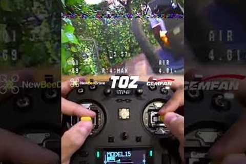 Only FPV castle #DroneLife #FPV