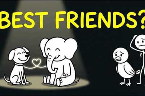 Do Animals Have Best Friends?