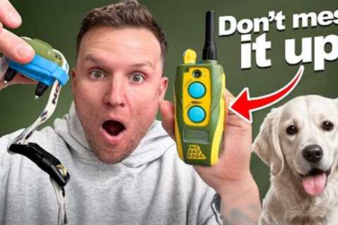 E Collar Training Steps For Beginners!