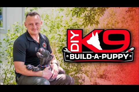 Puppy LIVE Training Sweepstakes!