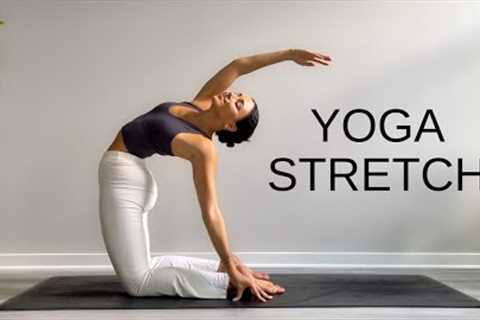 15 Minute Yoga Stretch Break | Open Your Body &amp; Feel Amazing!