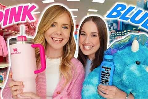 PINK VS BLUE SHOPPING CHALLENGE!