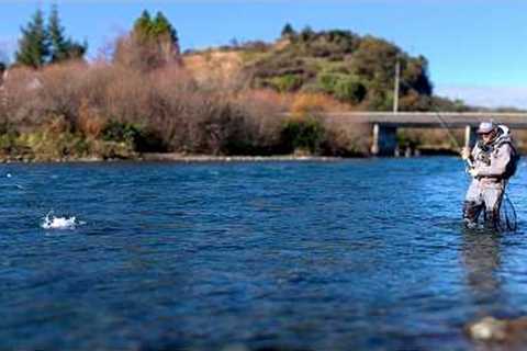Winter Fly Fishing: Exploring Trout Spey on Taupo Rivers