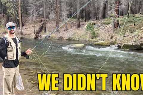 Beginner Fly Fishing: 10 Mistakes We Didn’t Realize We Were Making