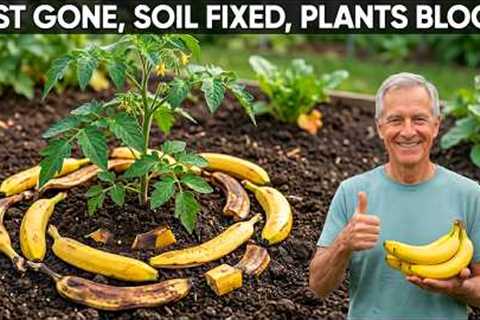 How to Use BANANA PEELS in the Garden: 7 Genius Tips for BIGGER Blooms & Healthier PLANTS!