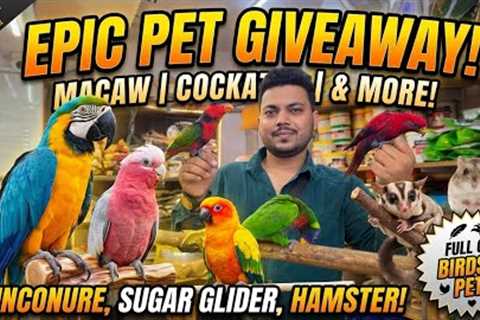 I’m Giving Away My Most Beautiful Birds! 🌈 Wajid Exotic Pets