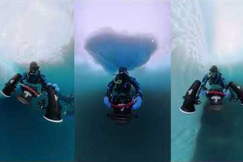 Scuba Diving Antarctica January 2026 - Trip Recap