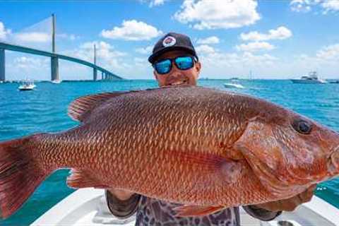 Florida's Best Fishing Is WAY Closer Than You Think!
