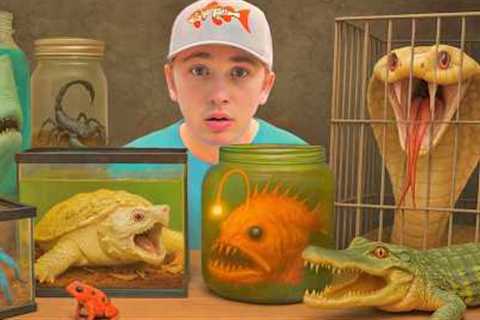 I Bought The Deadliest Animals (to keep as pets)